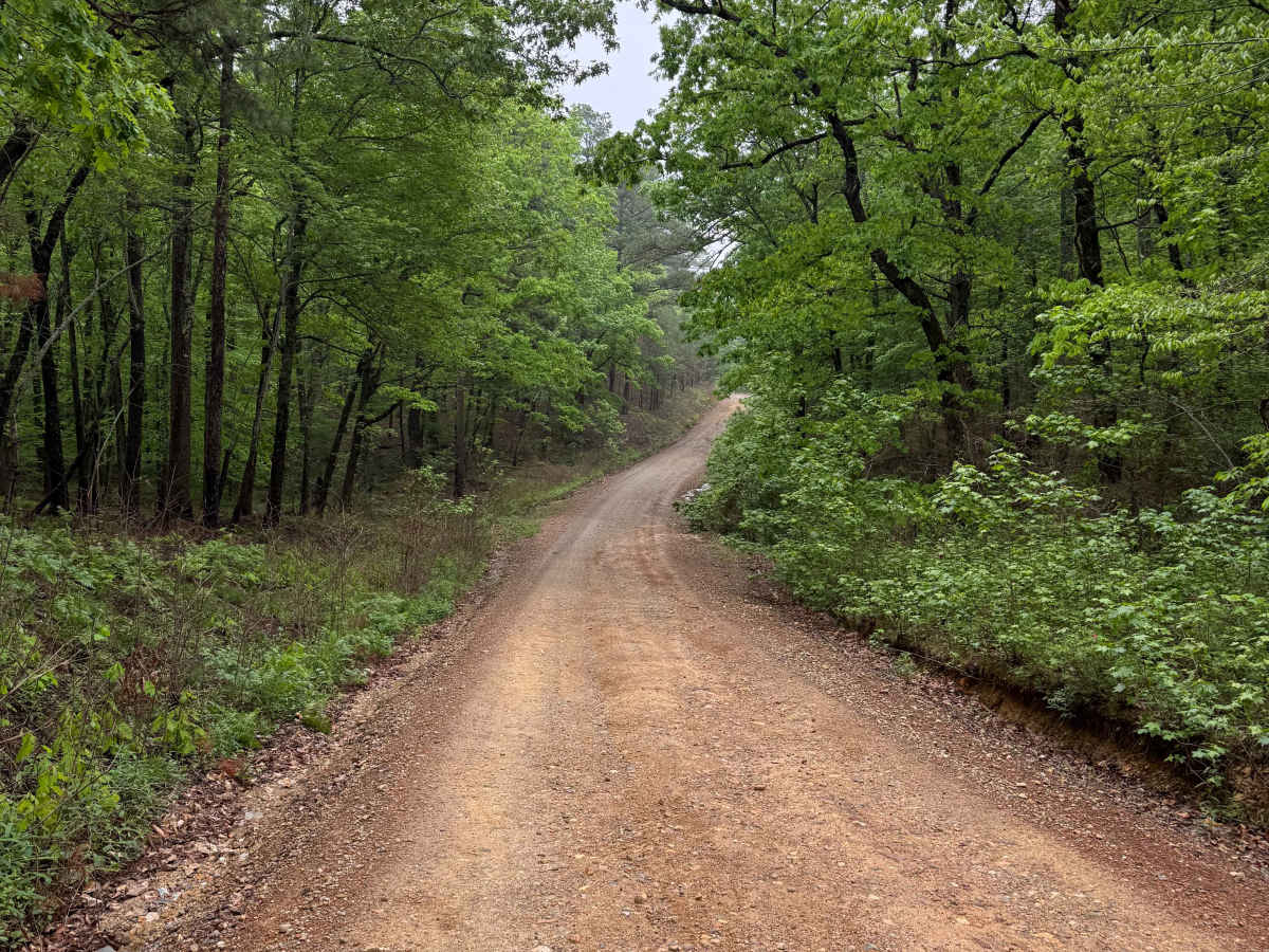 Polk County Road 601 photo 5