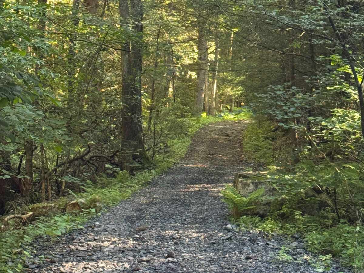 CCC Trail photo 2