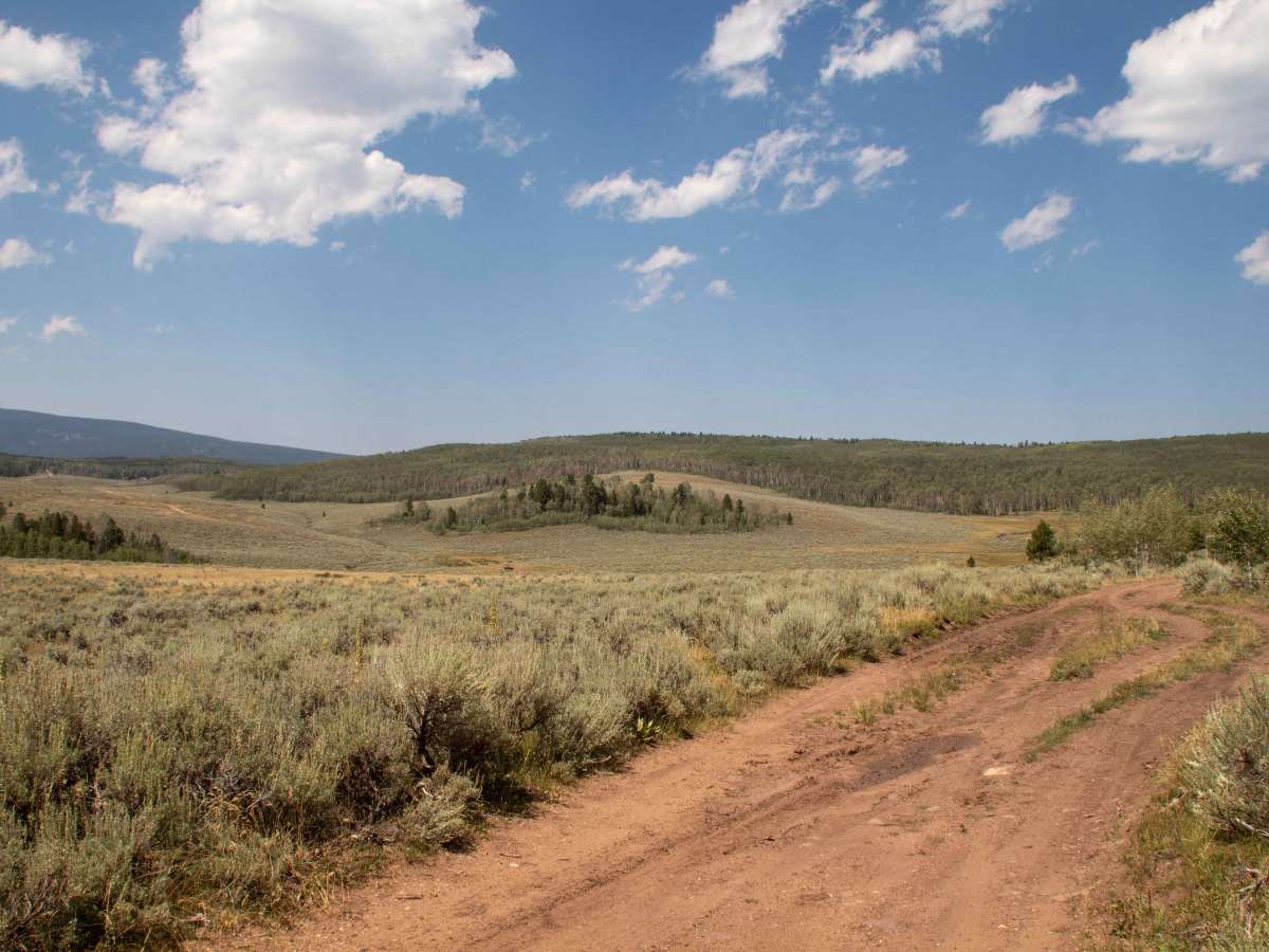 Charleys Park - FS 10234 photo 6
