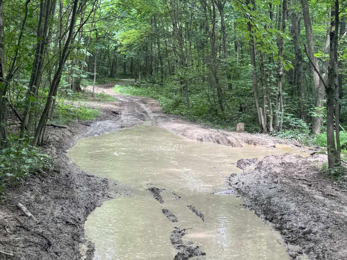 Trail 75 photo 4