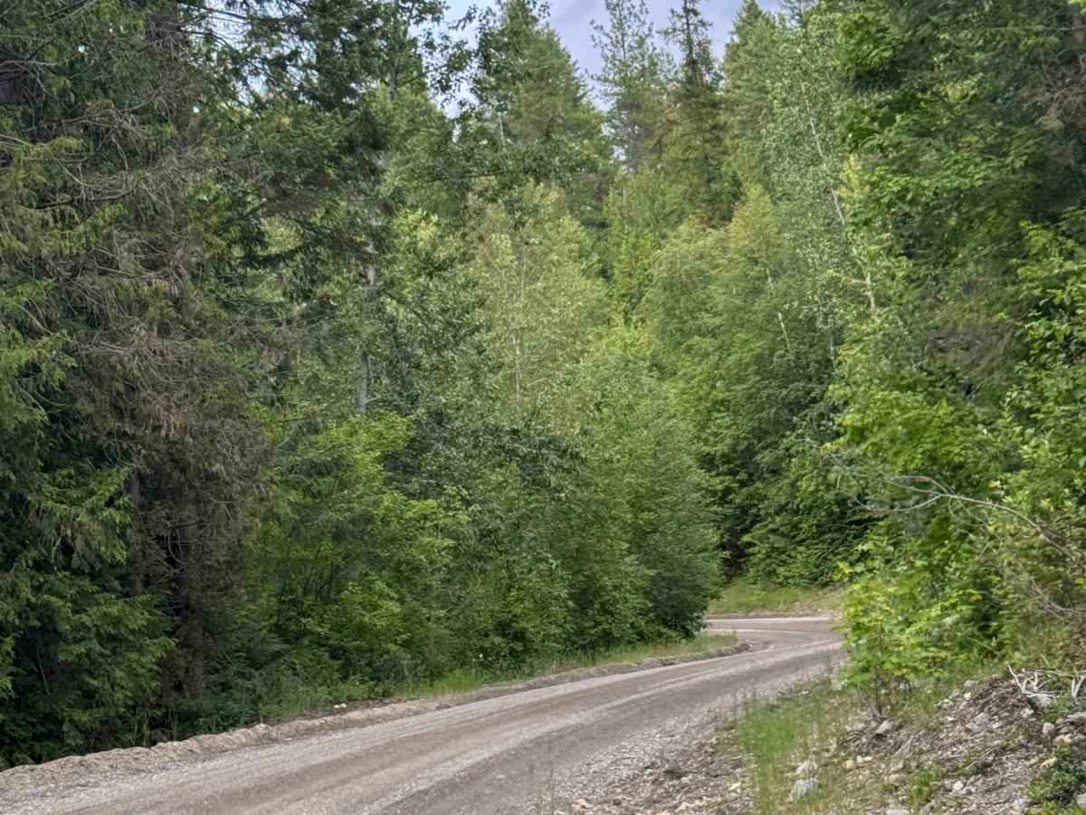Box Canyon Road photo 6