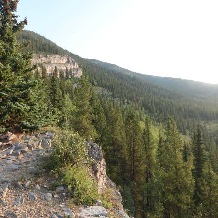 Near Prairie Creek Trail