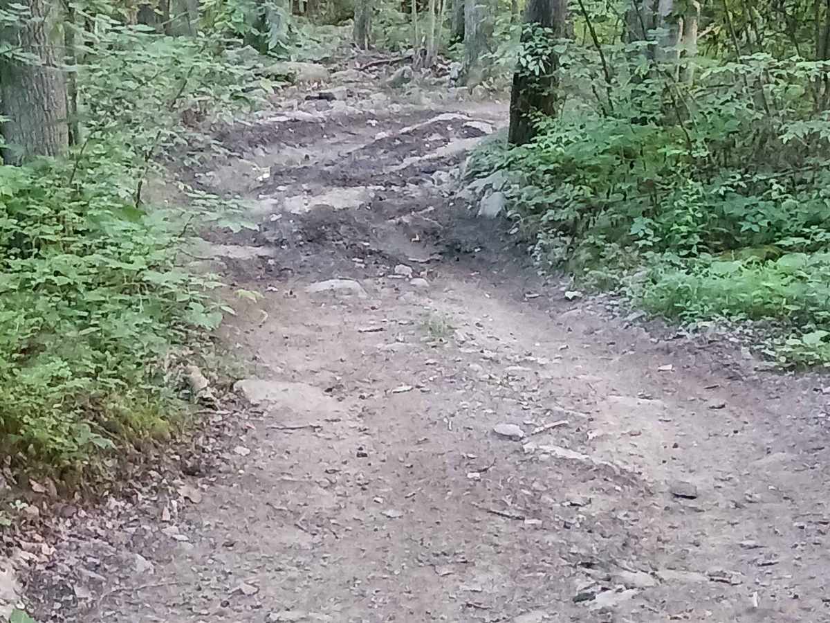Upper Briar Path - Rock Run Recreation Area photo 4