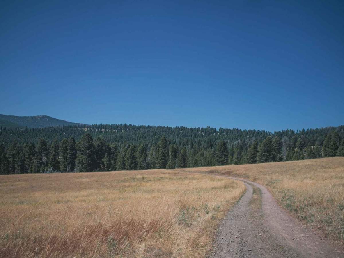 Marshall Creek photo 2
