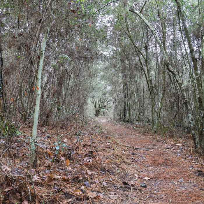 Near Stagecoach Trail