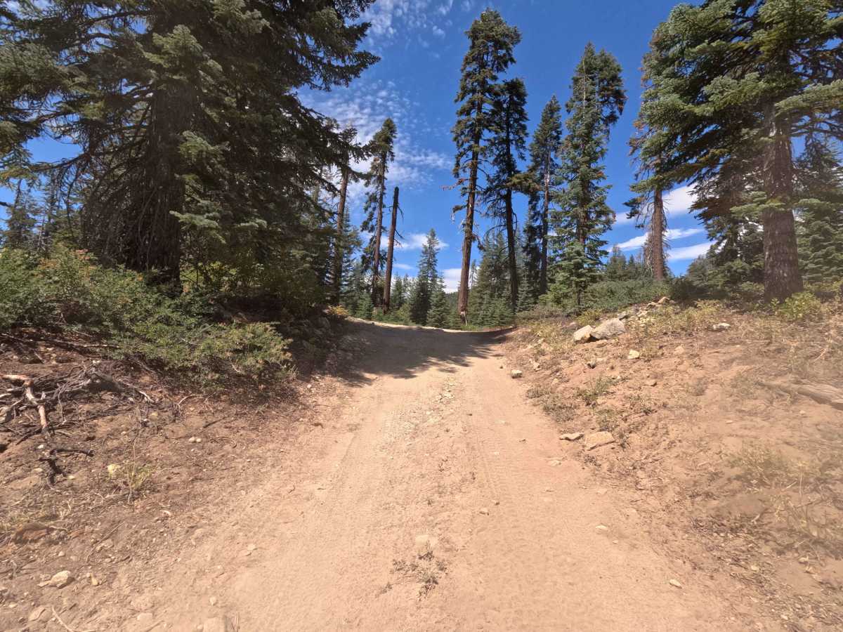 Big Creek Fire Road - South - FS 5S048 photo 6