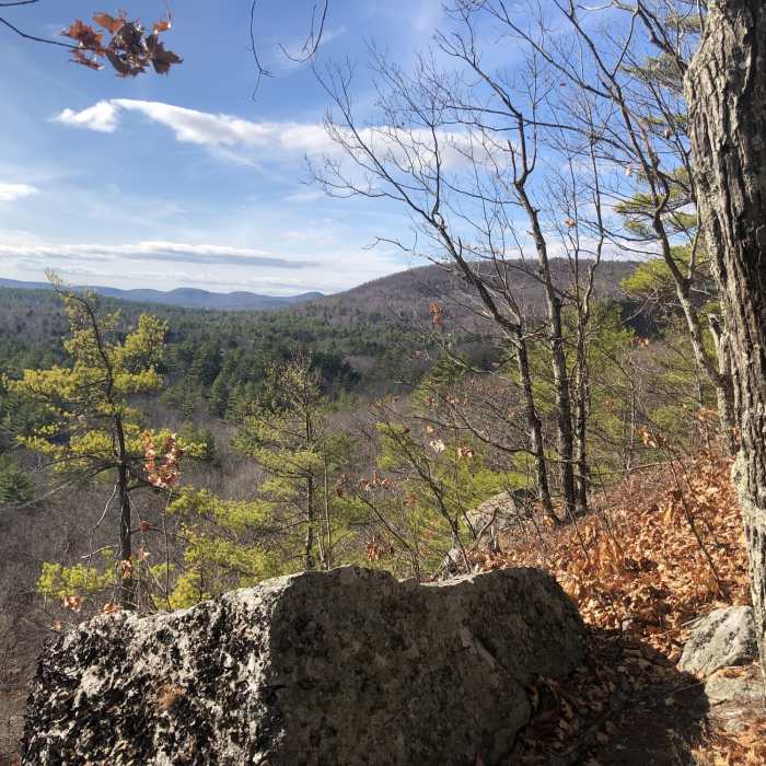 Near Precipice Path West