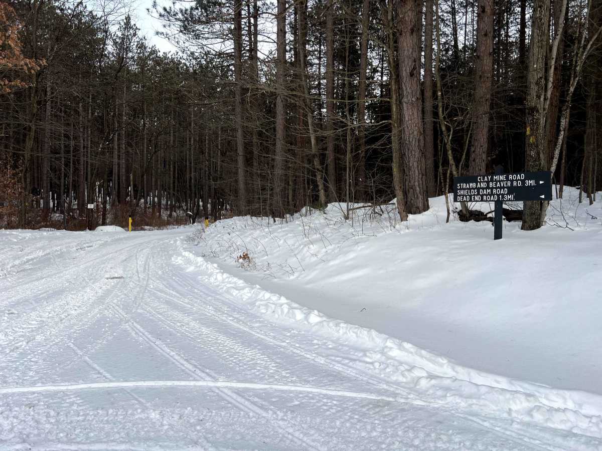 Shields Dam Road trail photo