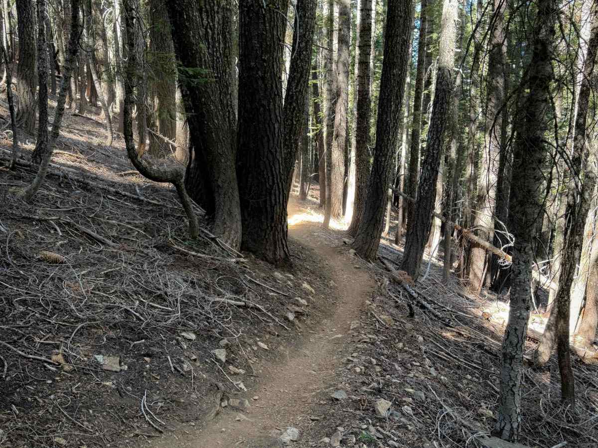 Big Boulder  photo 6
