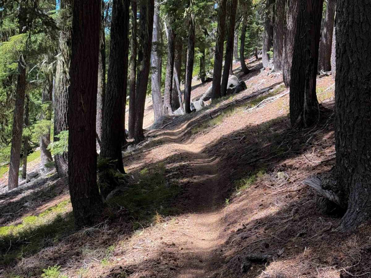 Windy Pass photo 6