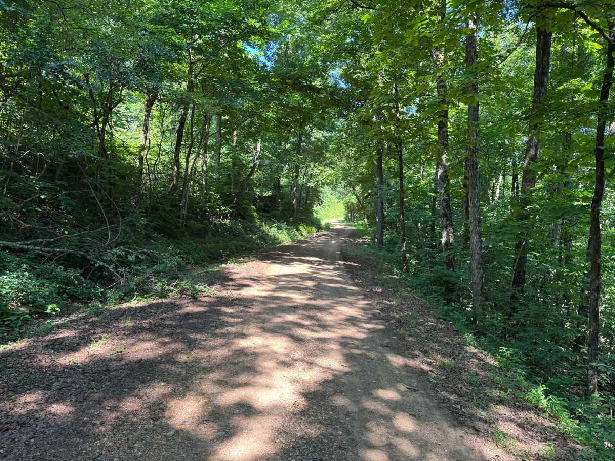 County Road 419 photo 2