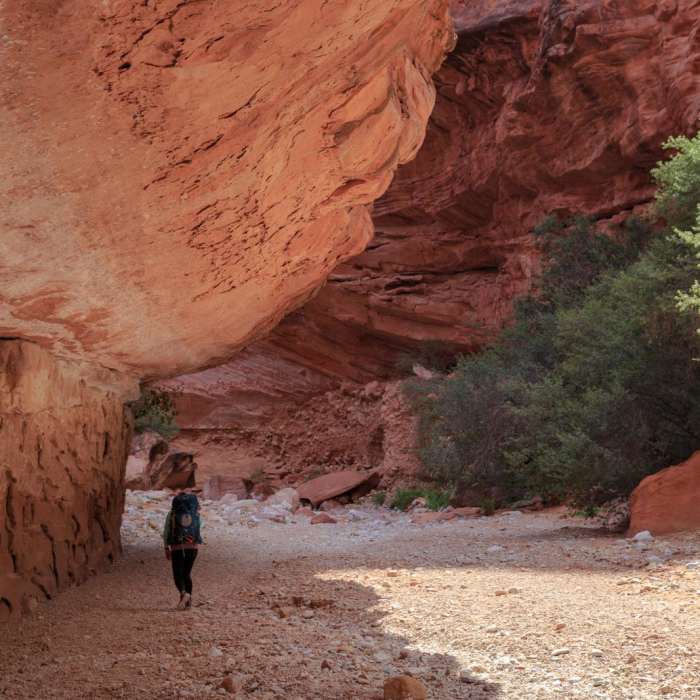 Near Havasu Falls Hike via Havasupai Trail