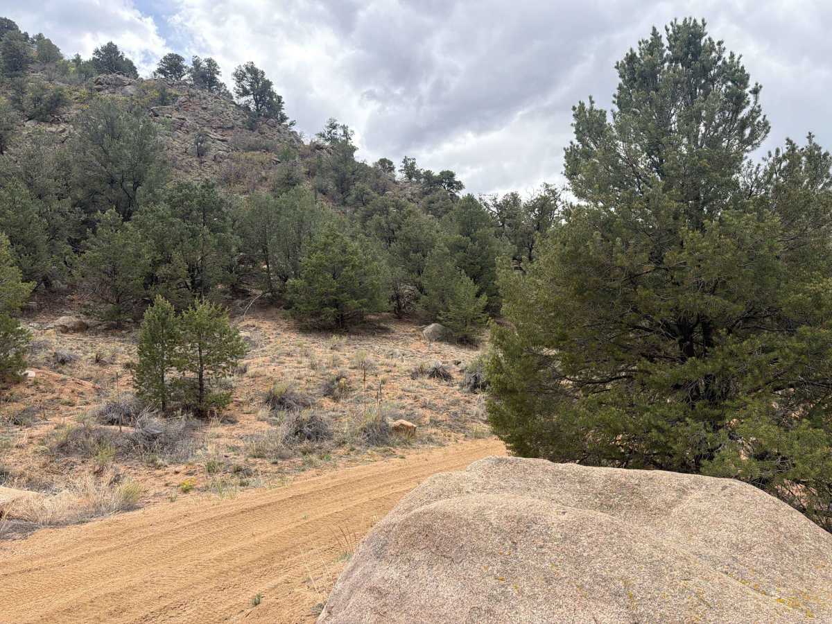 BLM 6020A photo 2