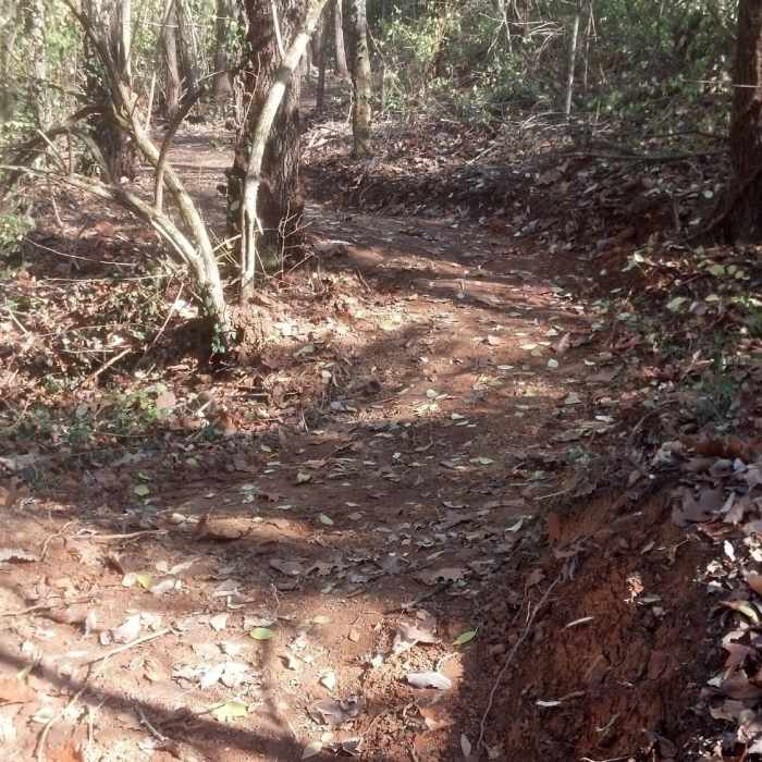 Near Burnett Ridge Trail