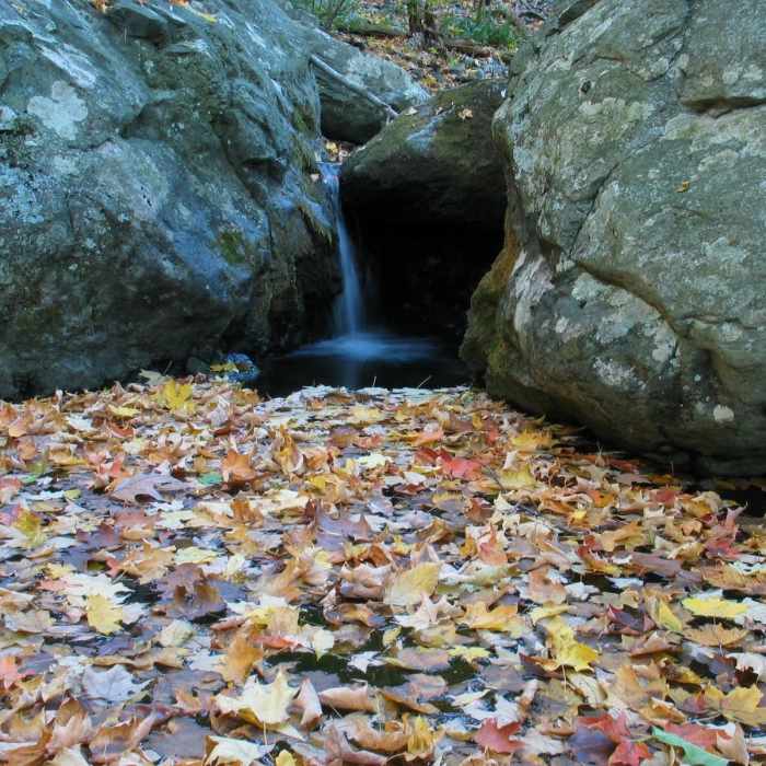 Near Little Devil Stairs Loop