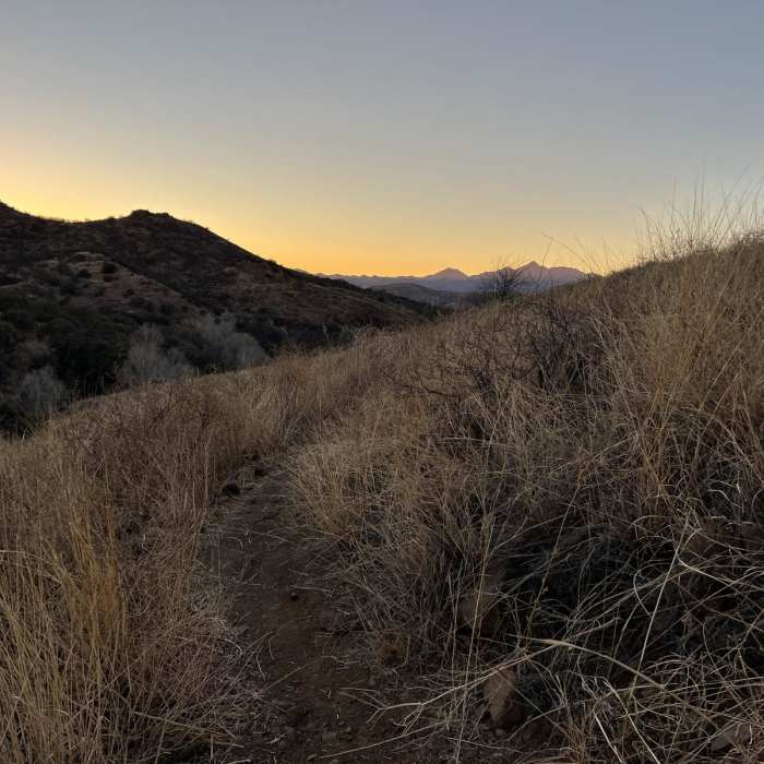 Near Arizona Trail Passage 3: Canelo Hills West