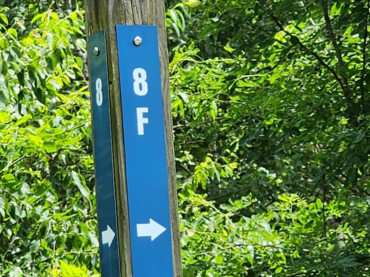 Trail 8F - Rock Run Recreation Area trail photo