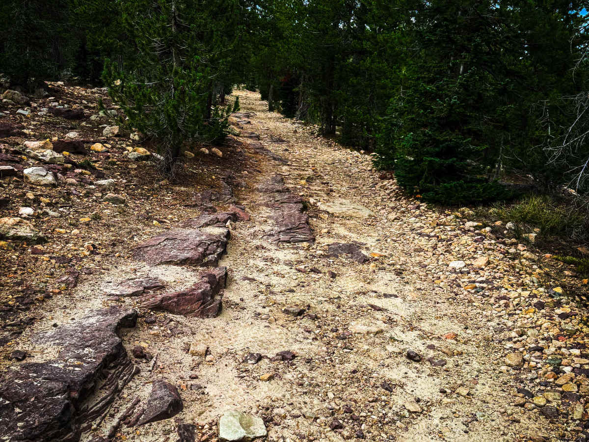 Echo Lake Trail photo 6