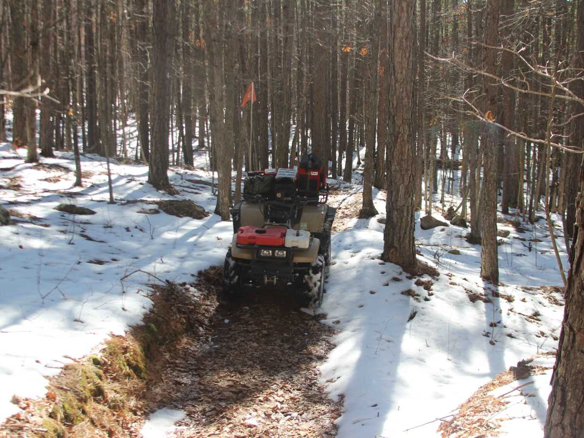 Sutton Bluff ATV 15 East - SB 15 trail photo