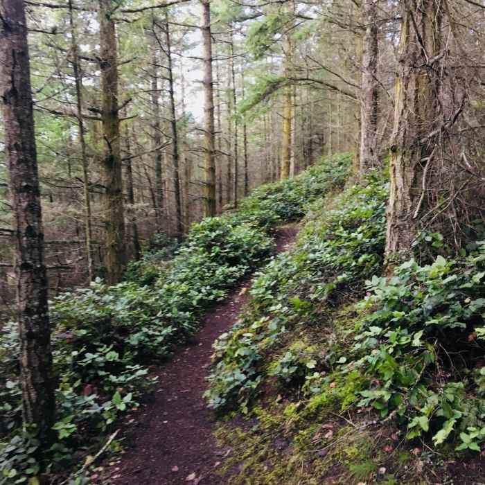 Near Princess Run