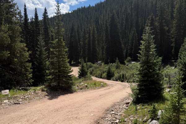 Silver Dollar Road
