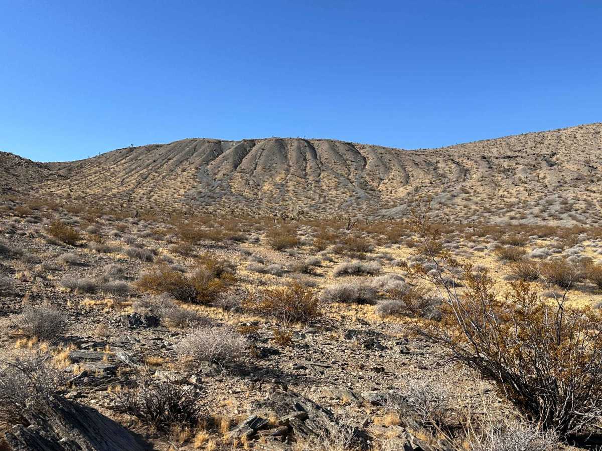 Twin Bumps Trail trail photo