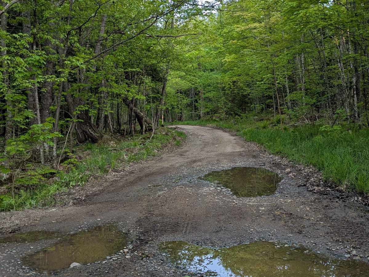 Black Creek Road photo 6