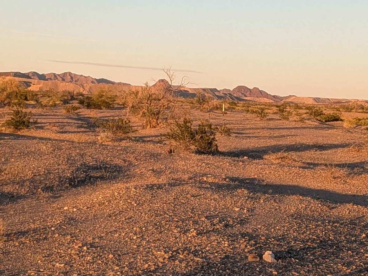 BLM 611 photo 2