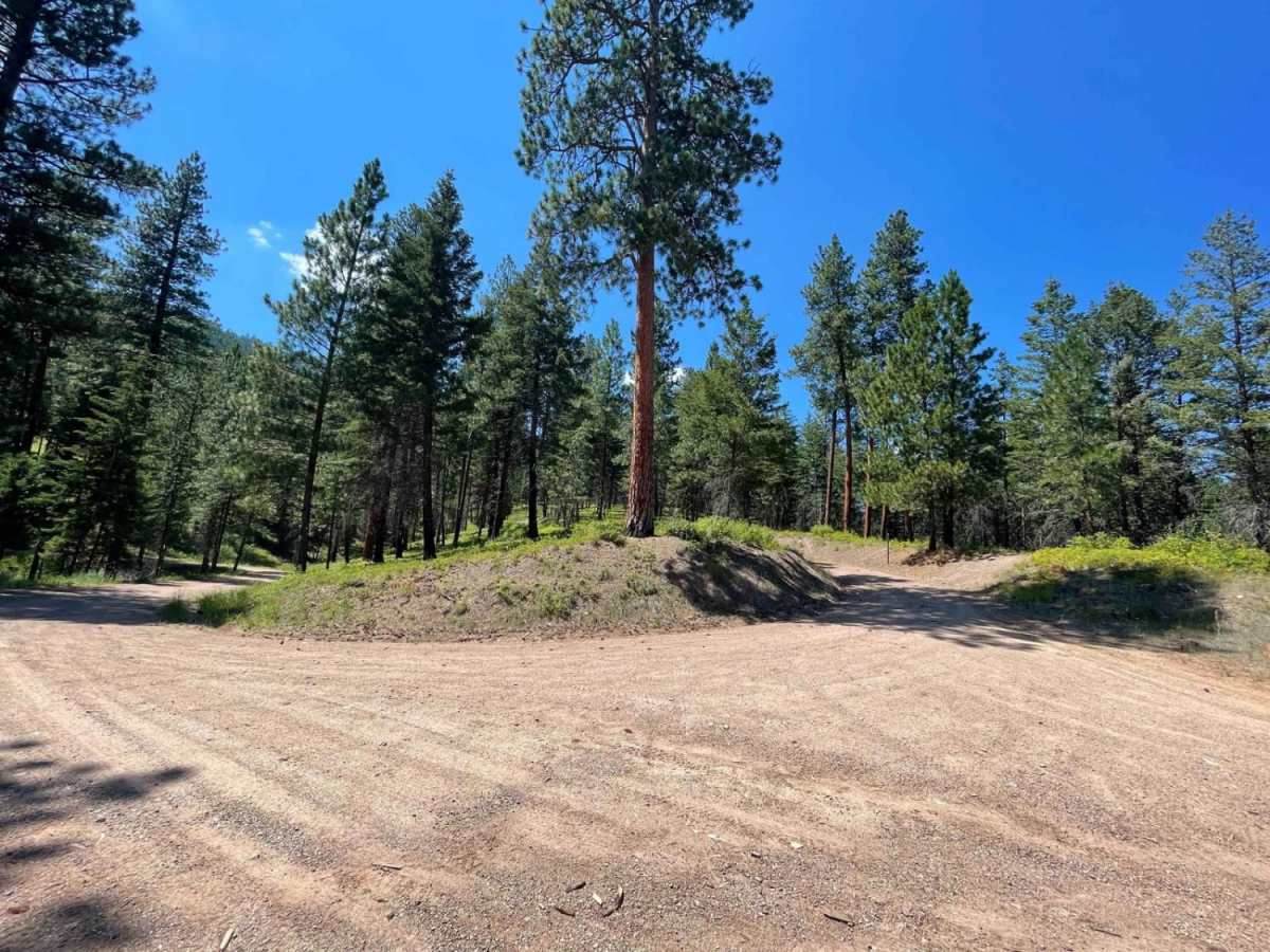 Verdy Moccasin Ridge photo 6
