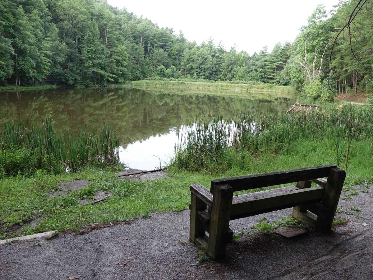 Brush Creek Road trail photo