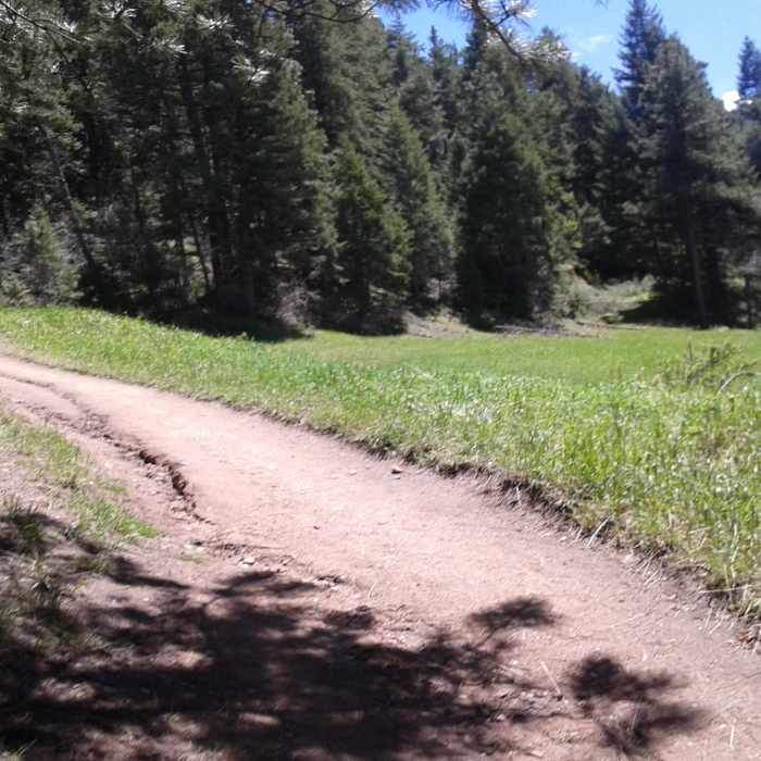 Near Plymouth Mountain Trail
