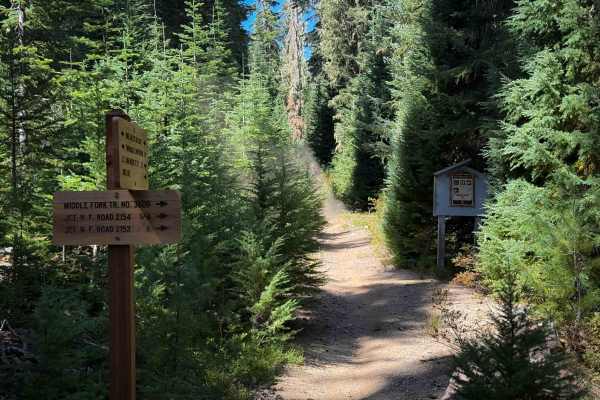 June Lake Trail