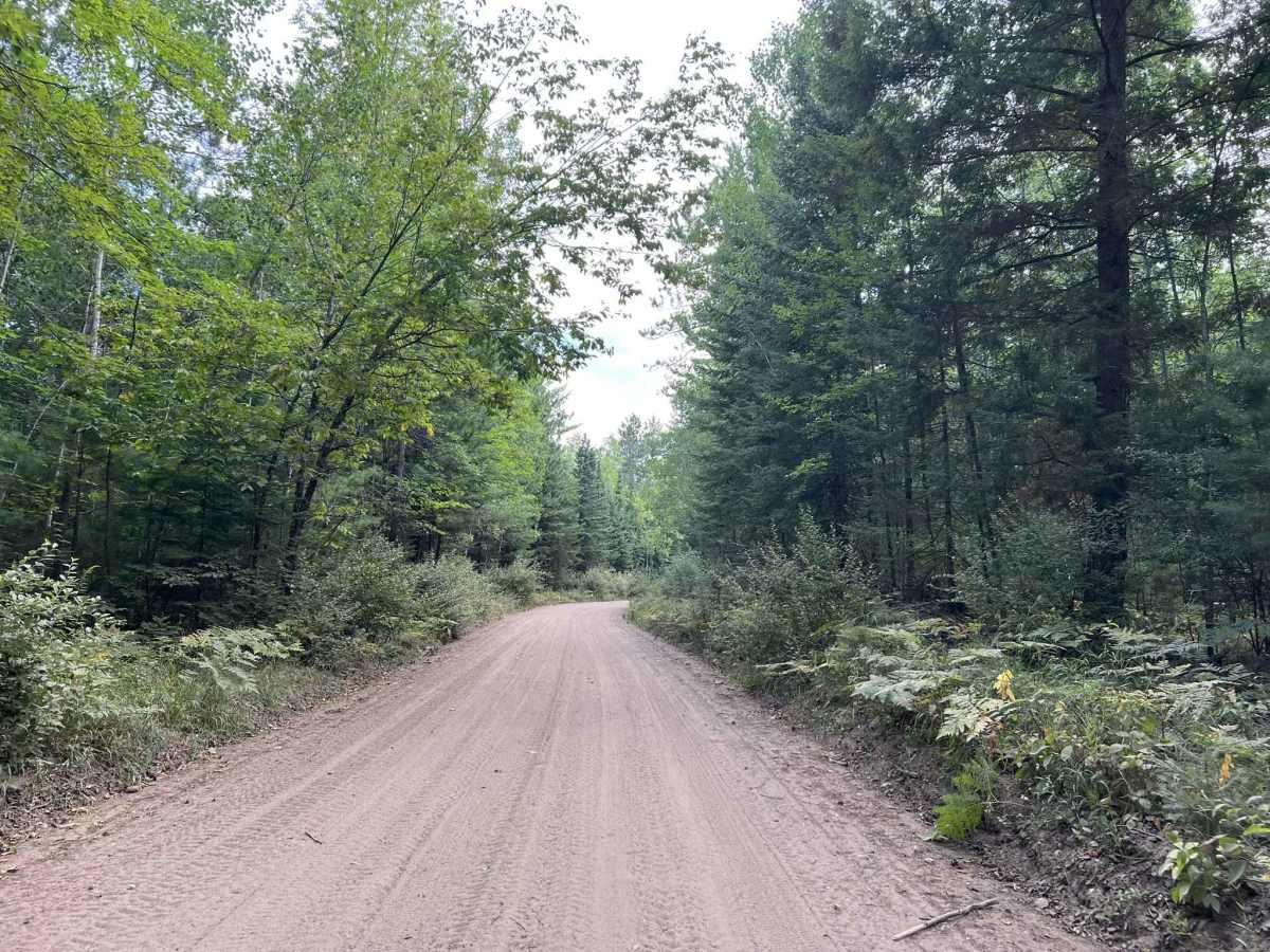 Route FIR - Forest Road 31616 photo 4