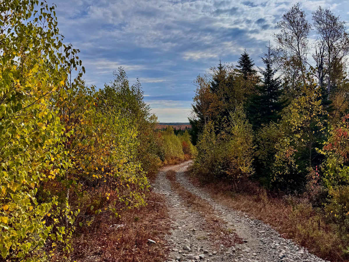 Shrub-Trim Pass trail photo
