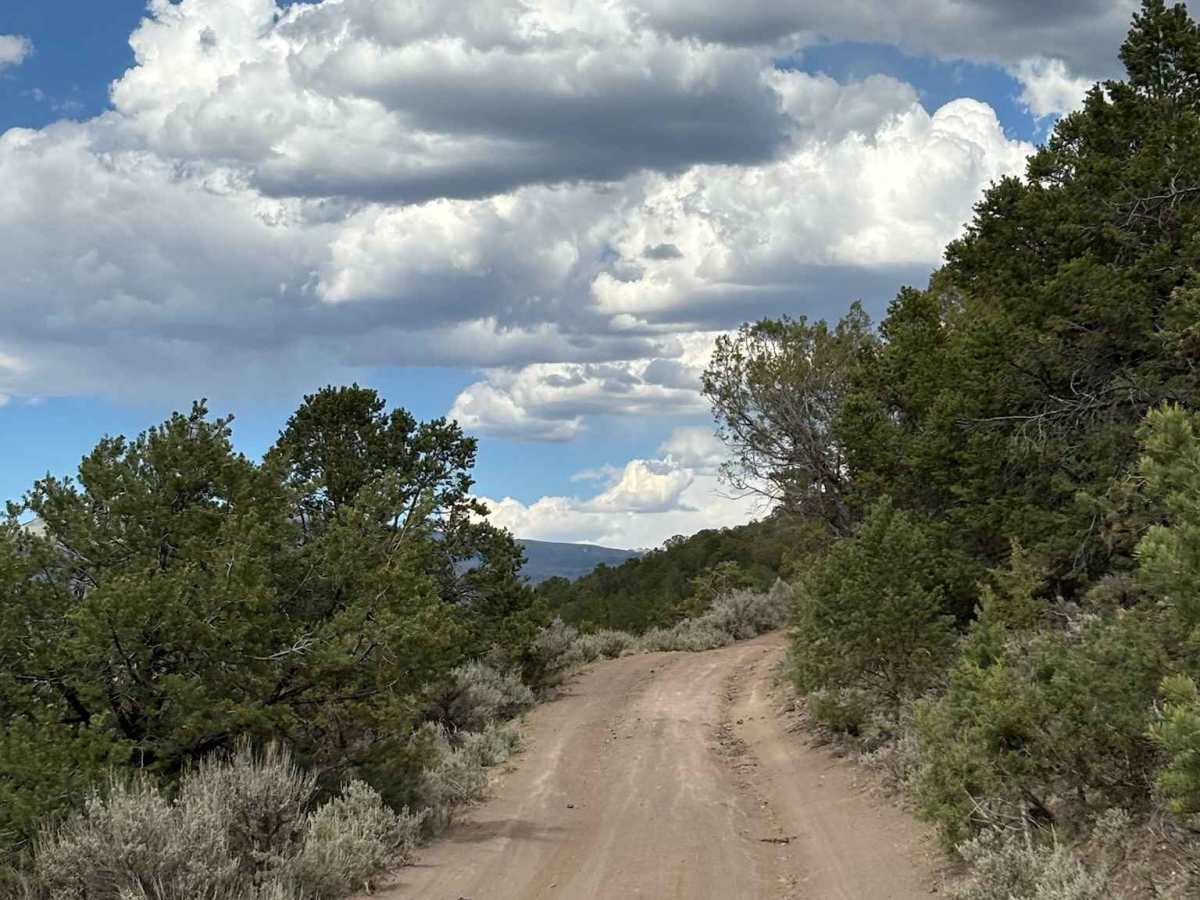 Gypsum Overlook - BLM 8463 photo 2