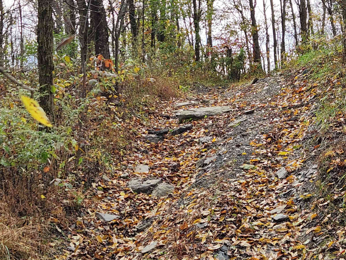 OHV 12 - Rock Run Recreation Area trail photo