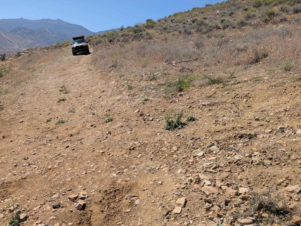 Rattlesnake - FS 26S34B photo 2