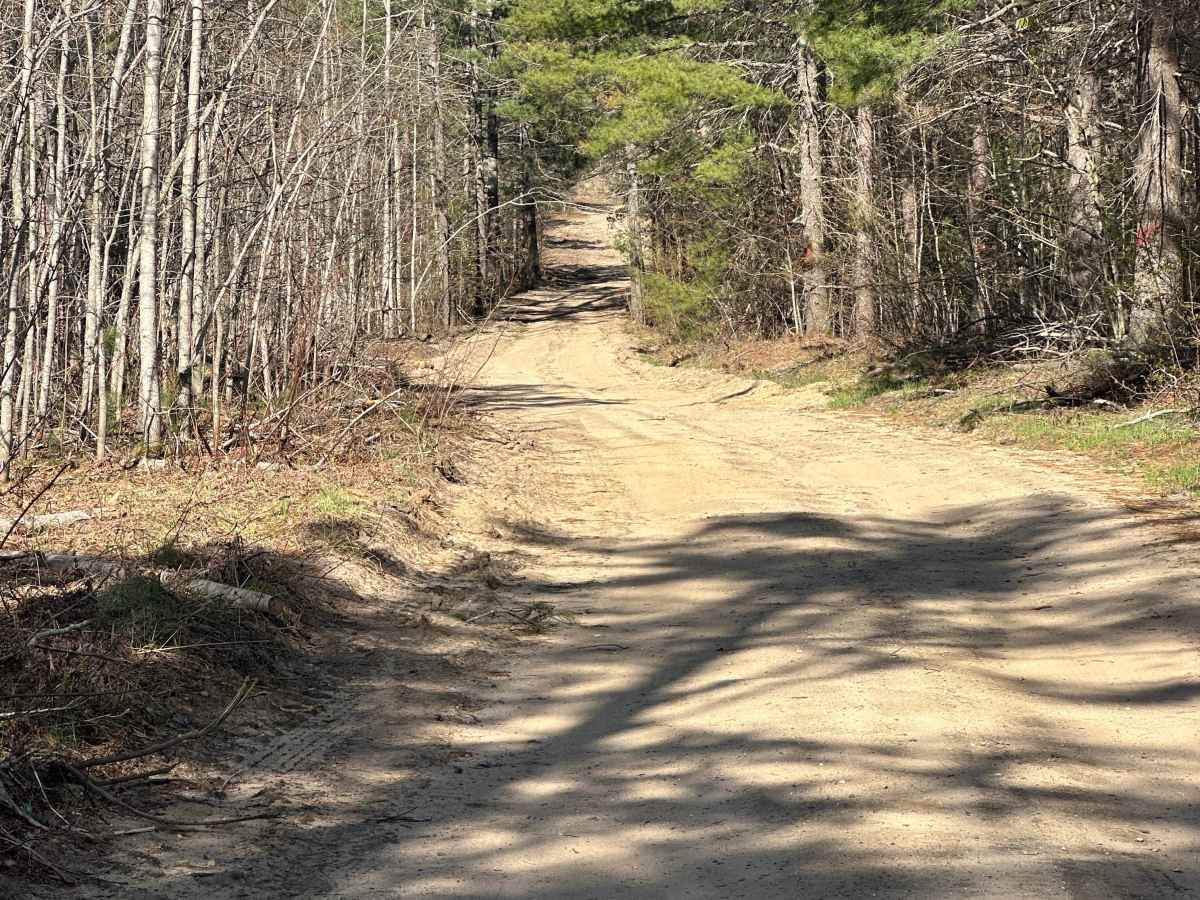 Milbocker Road  photo 2