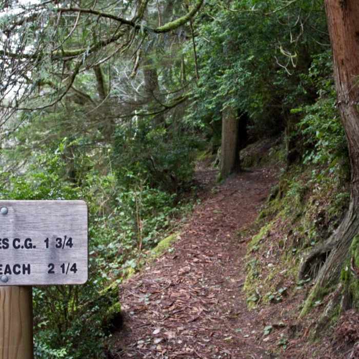 Near Sutton Campground Loop