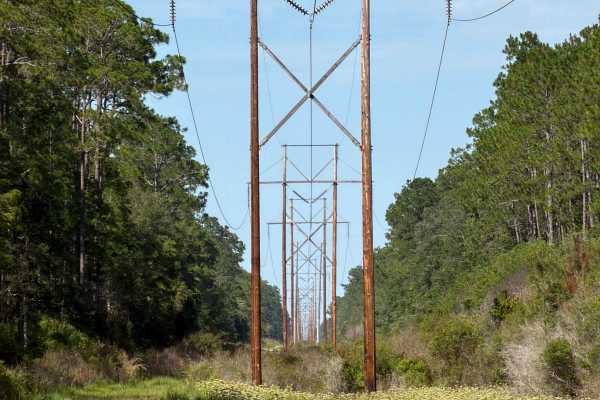 Powerline - FS 341A