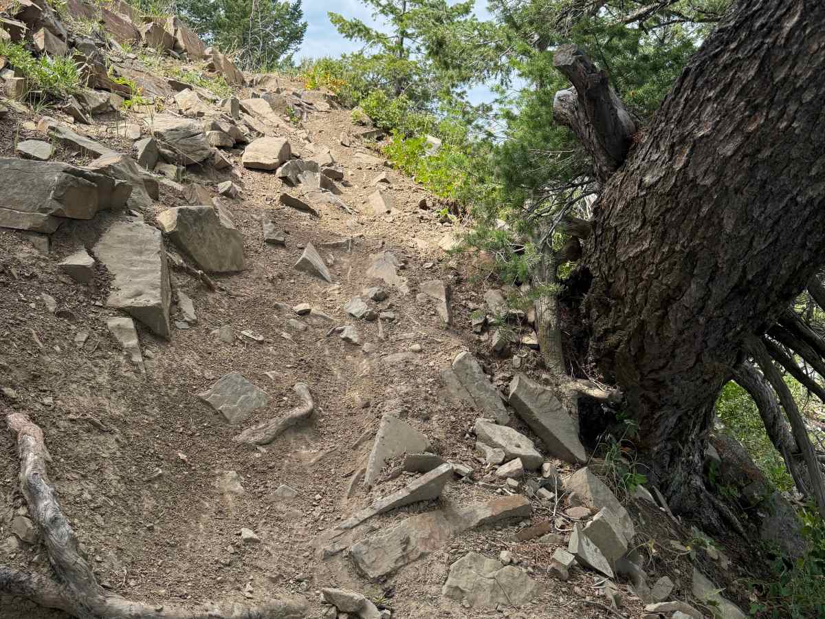 Dead Horse Ridge photo 4