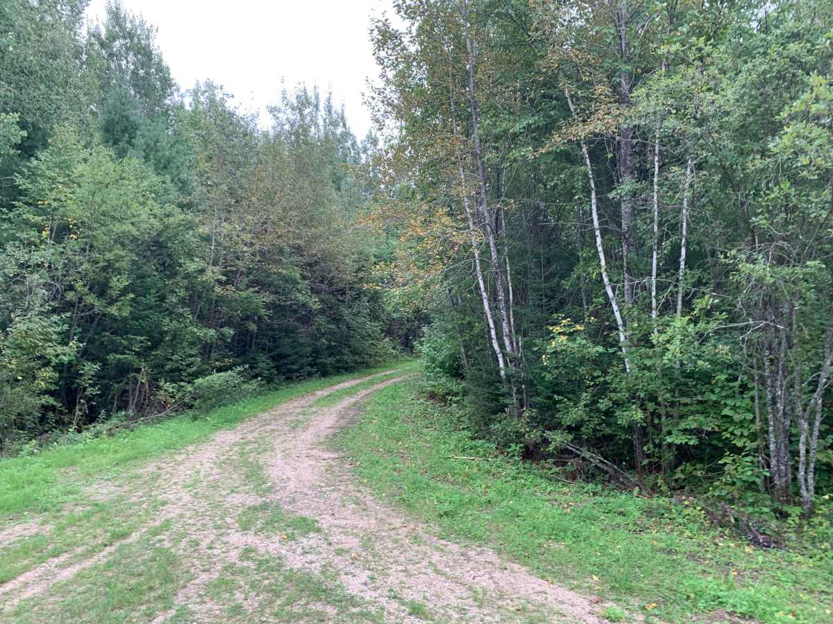 FR 612E trail photo