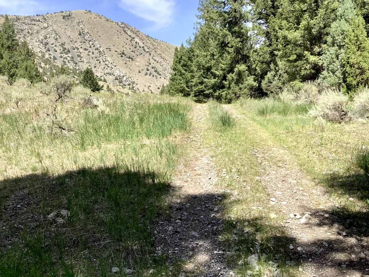 Van Dorn Cutoff photo 5