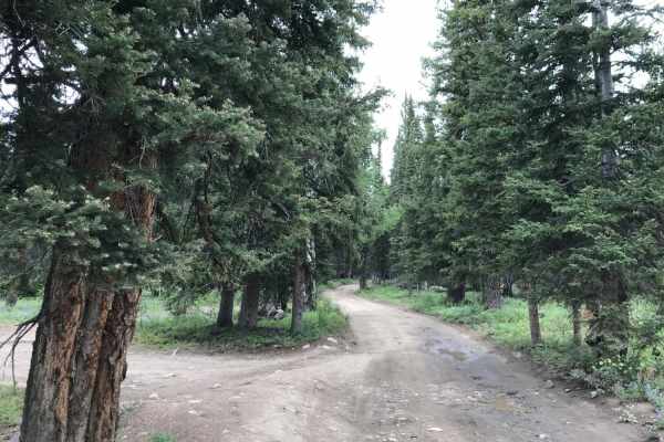 Base Camp (311)