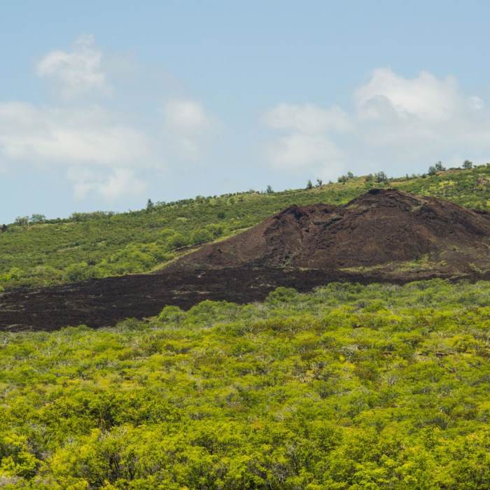 Near La Perouse Bay to Cap Hanamanioa Near La Perouse Bay to Cap Hanamanioa