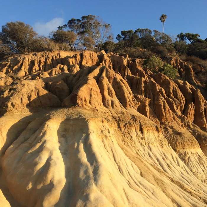 Near San Elijo Lagoon: Annie's Canyon Loop