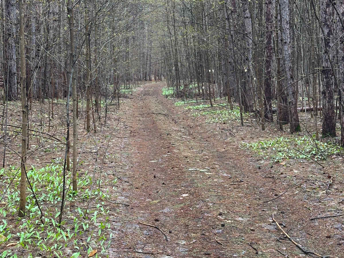 Deward Cutover photo 5