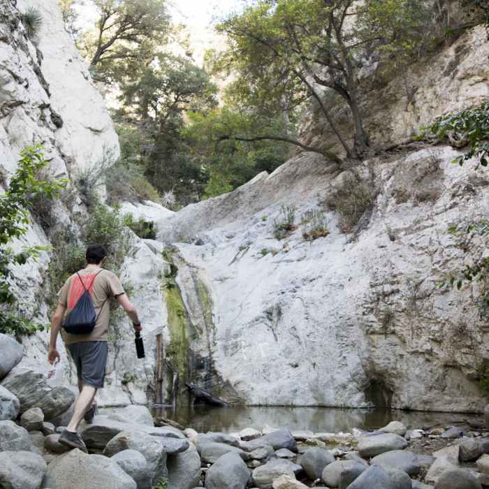 Near Oakwilde Trail Camp