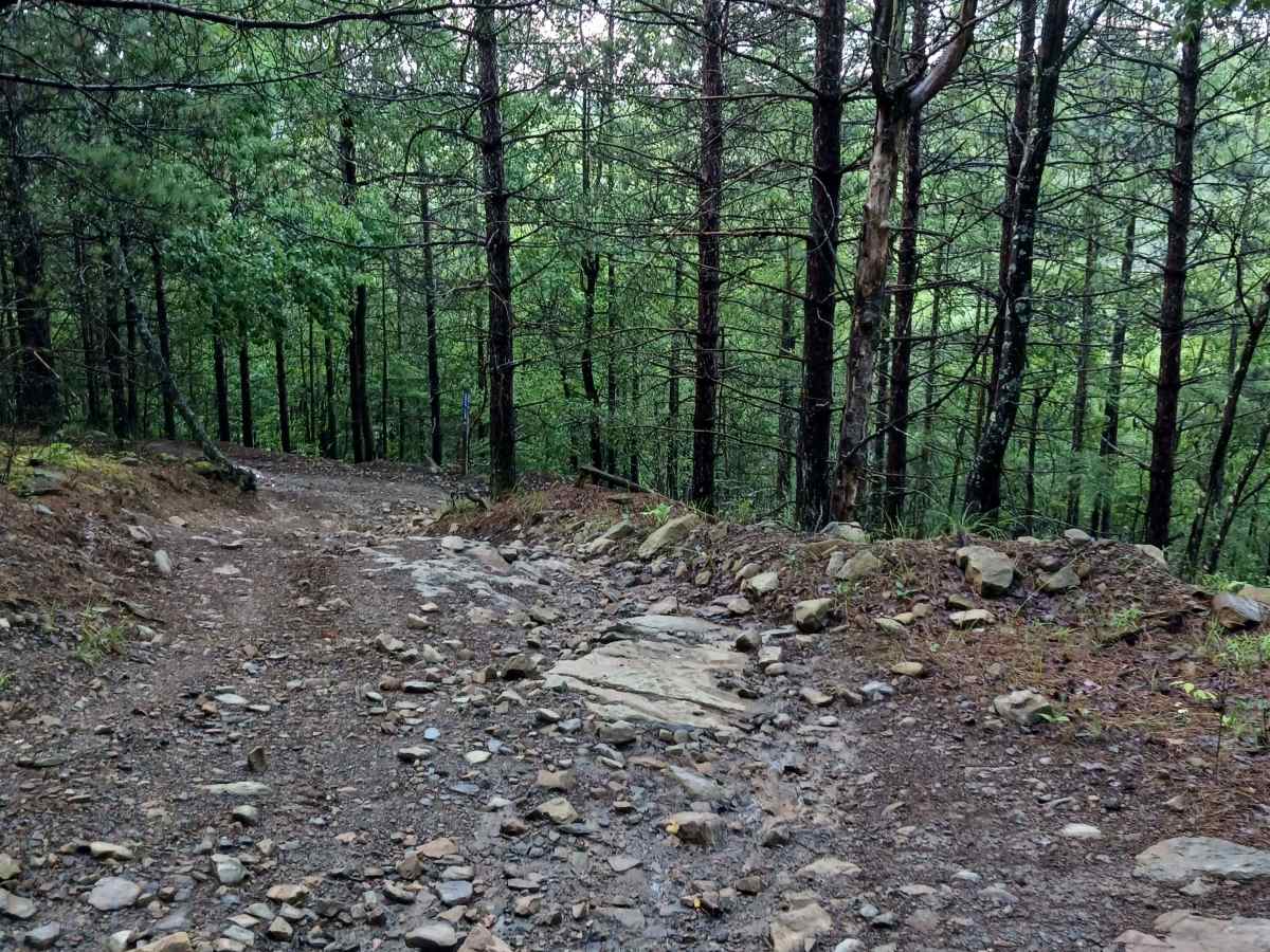 Trail 12S - Rock Run Recreation Area photo 2