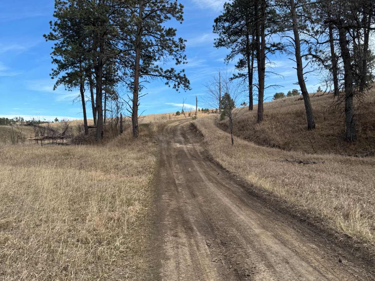 Strong Canyon Run  photo 6